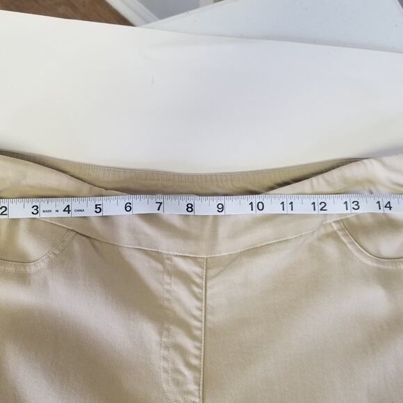 Draper & Damon's Tan pants w/ Bonus Alfred Dunner Top Size S - Picture 9 of 11